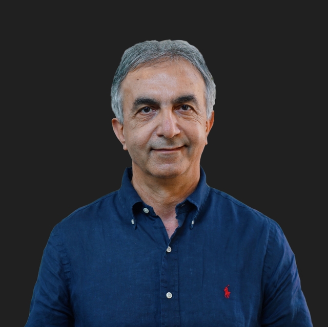Mohsen Mirzadeh